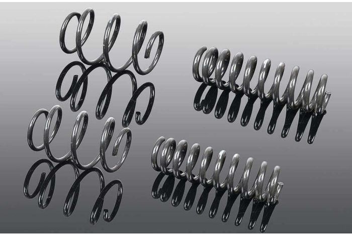 AC Schnitzer F23 Lowering Springs For 218i - 228i - 230i - 218D - 220D & 225D Models