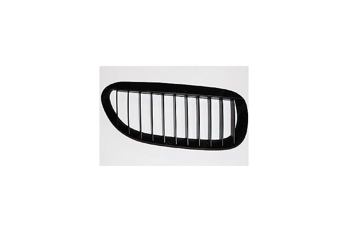 Fully black kidney grilles